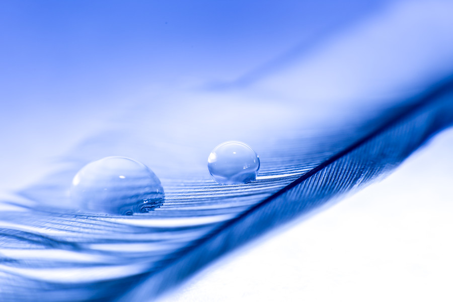 Photograph Feather-Light by Becky Fuller-Phillips on 500px