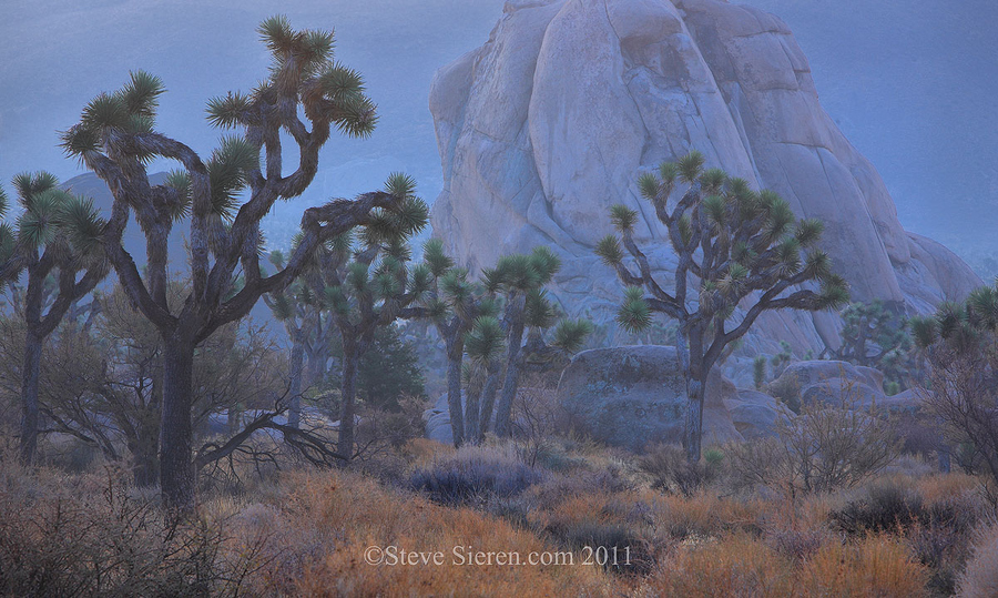 Photograph Joshua Tree - Hidden Valley by Steve Sieren on 500px