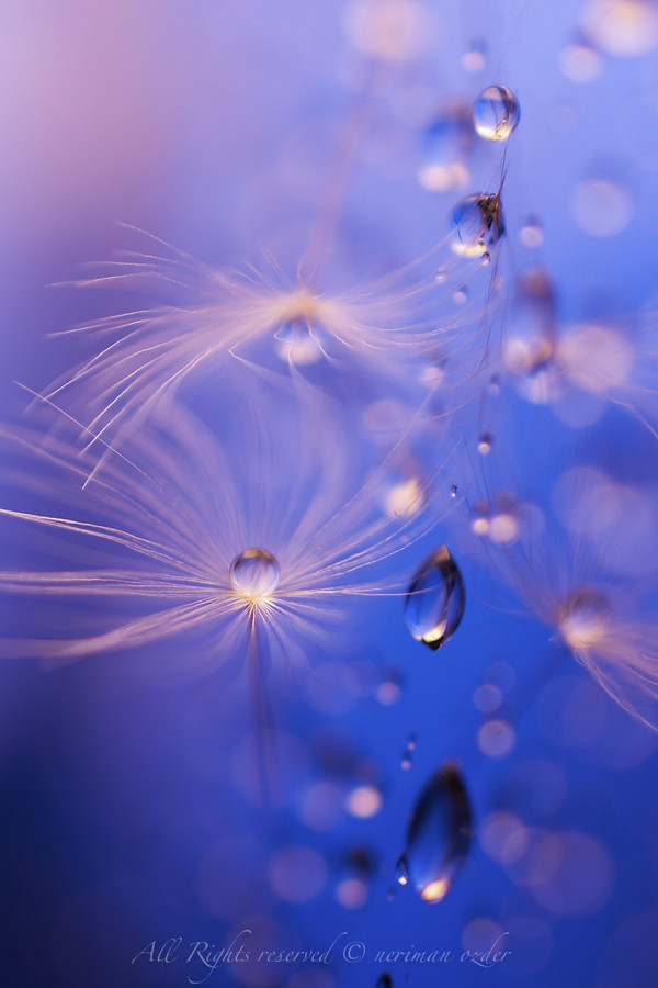 Photograph your mirror by neriman ozder on 500px