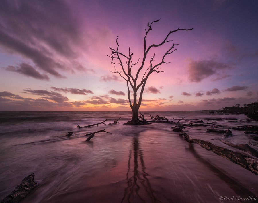 Photograph Talbot by Paul Marcellini on 500px