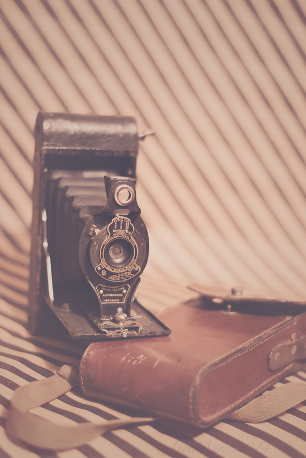 Photograph Brownie by Fionac on 500px