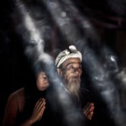 Collection of Images of Generations