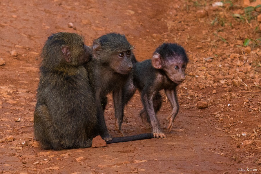Photograph 3 generations by Elad Koren on 500px