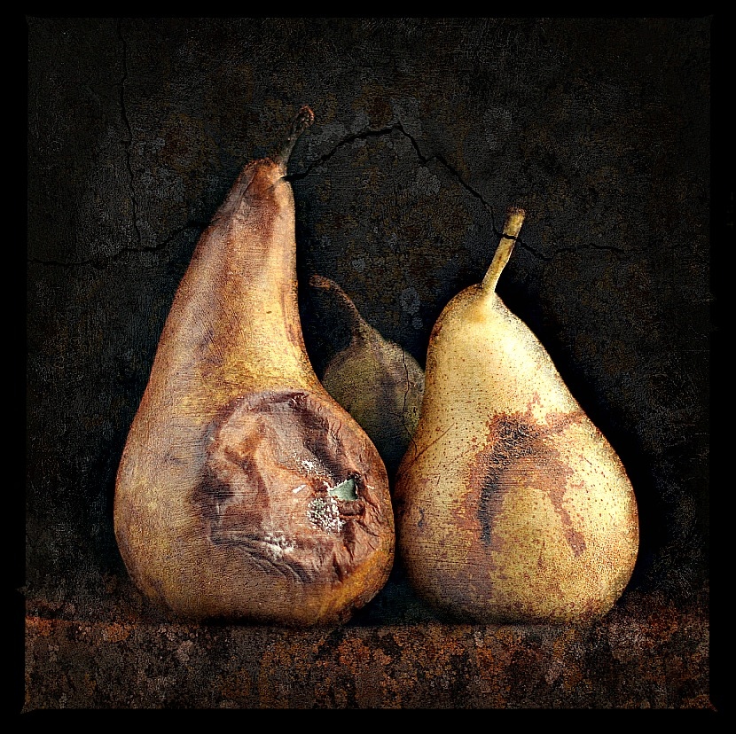 Photograph THREE GENERATIONS by Xavi Rosell on 500px