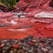 A Collection of Low to the Ground Images
