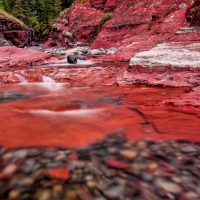 A Collection of Low to the Ground Images