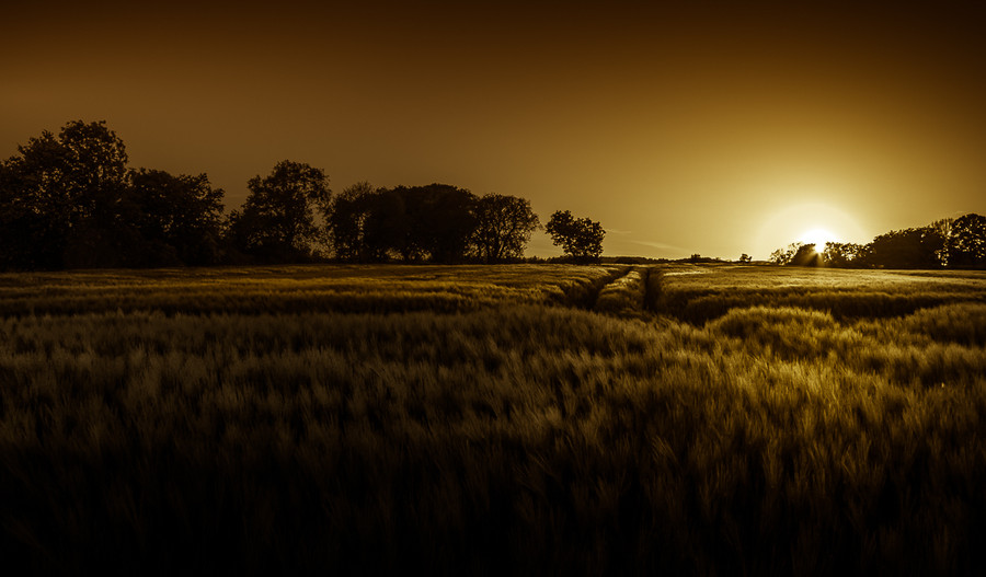 Photograph Shadows of the su by Christian Wig on 500px