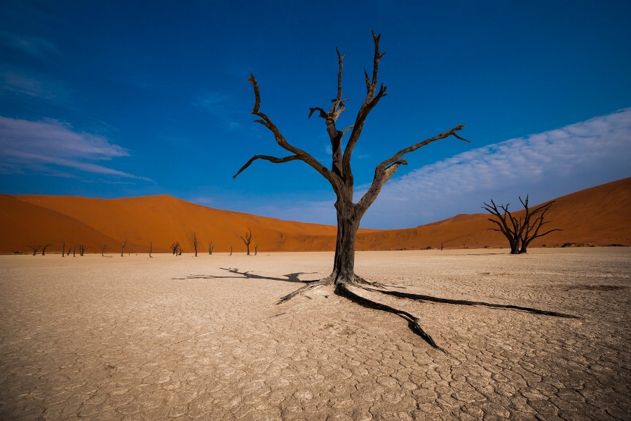 Photograph Deadvlei by Thierry Hennet on 500px