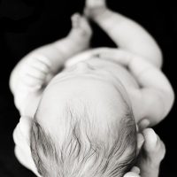 Writer’s Favorite Lens the Nifty Fifty on a Cropped Sensor Camera