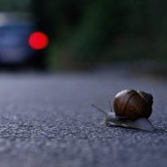 Weekly Photography Challenge Wormâ€™s Eye View