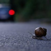 Weekly Photography Challenge Worm’s Eye View