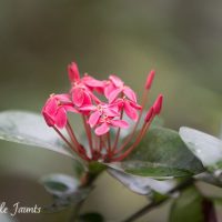 Simple Post-Processing Tips For Minimalists