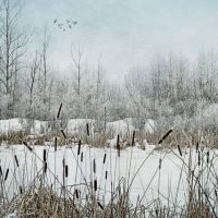 The Easy Way to Make Your Own Custom Photoshop Brushes