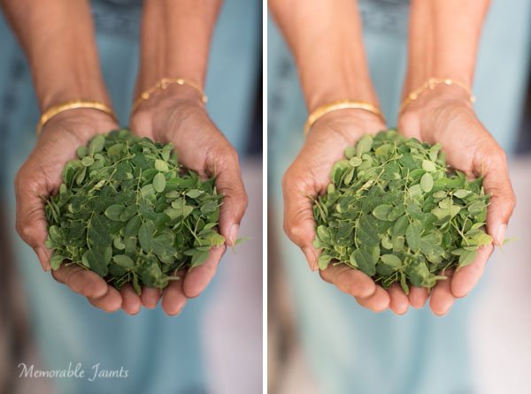 Left is SOOC; Right has Lens Correction, White Balance (Temp/Tint) adjusted