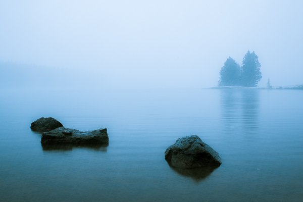 Silence  Banff National Park  Alberta  Canada