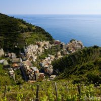 Six Months with the Fujifilm X-T1