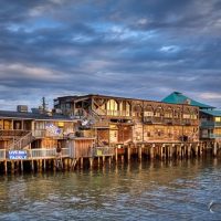 Top 10 Mistakes that Cause Blurry Photos