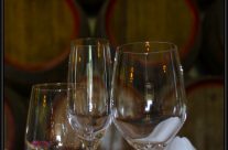 Wine glass