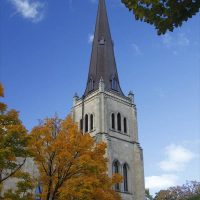 Writer’s Favorite Lens – the Tamron 18-270mm