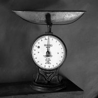 Getting to Know Your New Camera