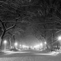 5 Tips for Planning a Winter Photography Excursion