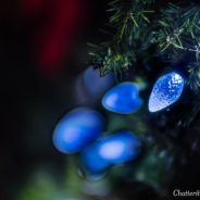 Weekly Photography Challenge â€“ Festive Food