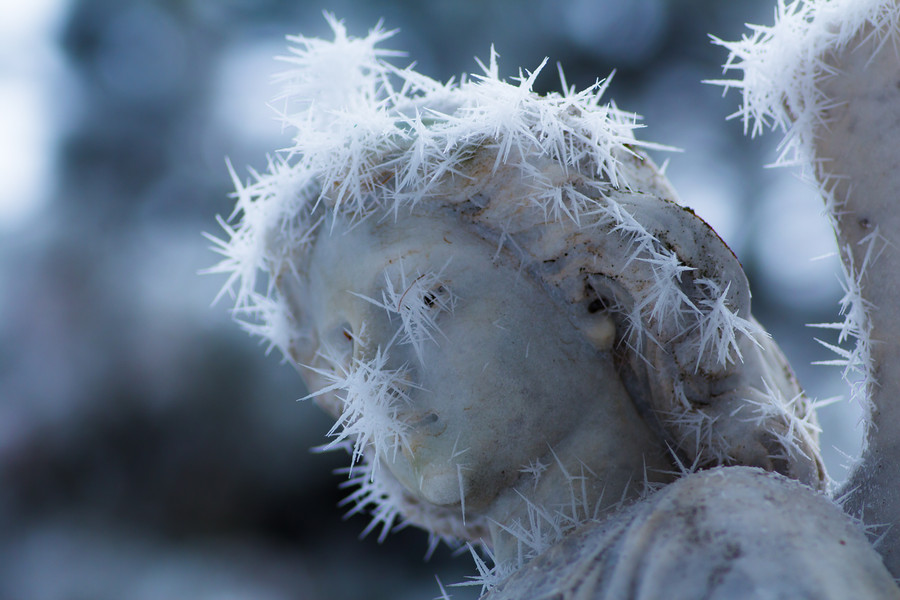 Photograph Angelus glacie by Carlton Belton on 500px