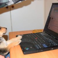 Post-Processing Tips of the Year 2014 on dPS