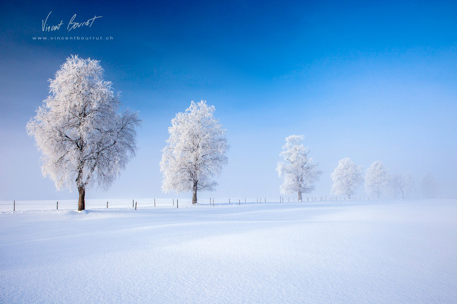 Photograph Frozen time by Vincent BOURRUT on 500px