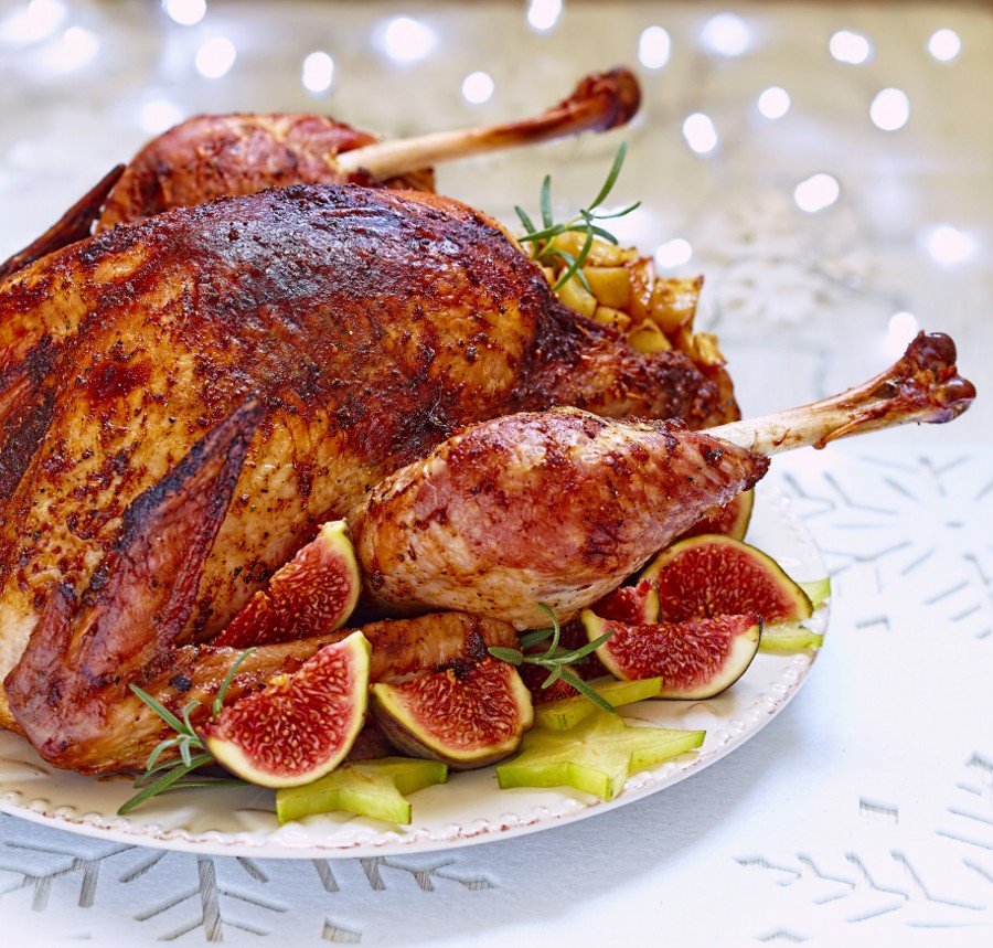 Photograph Roasted turkey with fruits by Elena Shashkina on 500px
