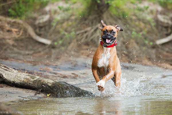 ArticleImage2.jpg ArticleImage2