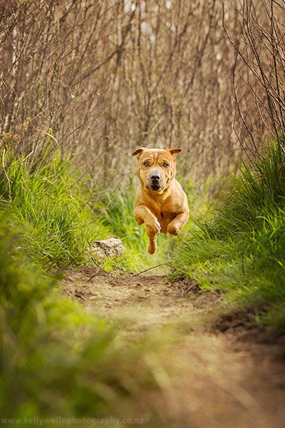 ArticleImage5.jpg ArticleImage5