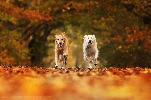 ArticleImage6.jpg ArticleImage6