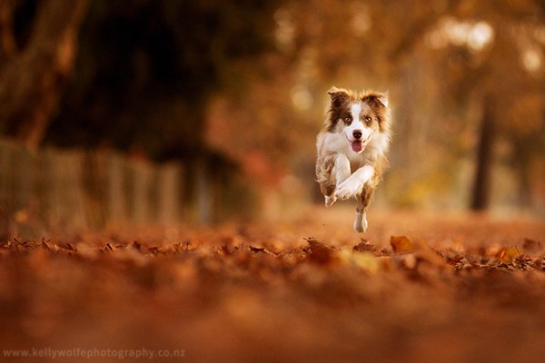 ArticleImage7.jpg ArticleImage7