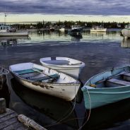 Writerâ€™s Favorite Lens â€“ The Canon 24-105mm f/4