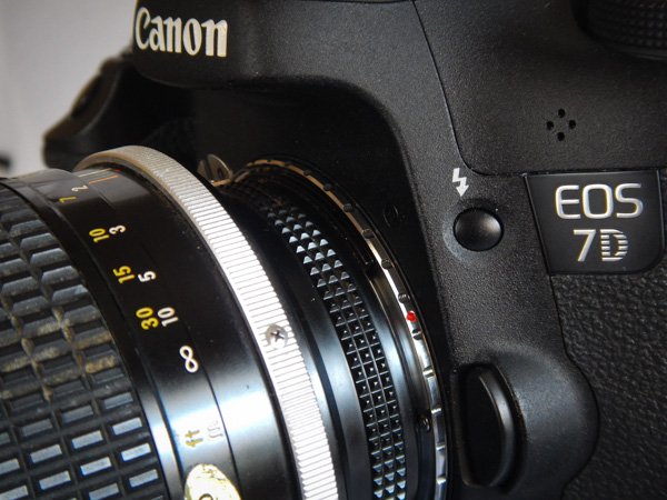 Body Fit.jpg Body Fit