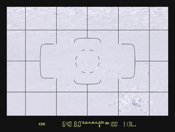 MBP_Filling_the_Frame_with_Snow_640_f8_ISO1001.jpg MBP Filling the Frame with Snow 640 f8 ISO1001
