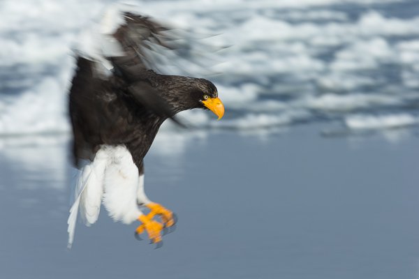 MBP_Hokkaido_20130207_4320.jpg MBP Hokkaido 20130207 4320