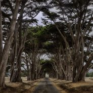 6 Tips for Creating Leading Lines to Make Your Photos Stand Out More