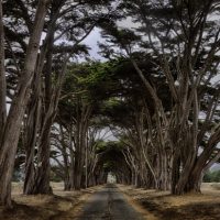 6 Tips for Creating Leading Lines to Make Your Photos Stand Out More