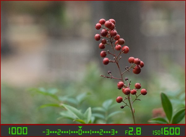 berries-correct-high-ISO