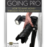 Deal 7: Save 60% On our â€˜Going Proâ€™ eBook