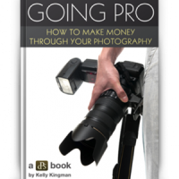 Deal 7: Save 60% On our ‘Going Pro’ eBook