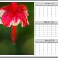 How to Create a 2015 Calendar in the Lightroom Print Module