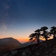 Luminous Endowment announces first round of grant winners