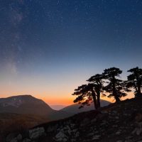 Luminous Endowment announces first round of grant winners