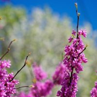 How to Learn Your Camera’s Light Meter and Master Manual Mode