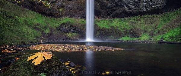 Not using a polarizer in landscape photography at Silver Falls State Park
