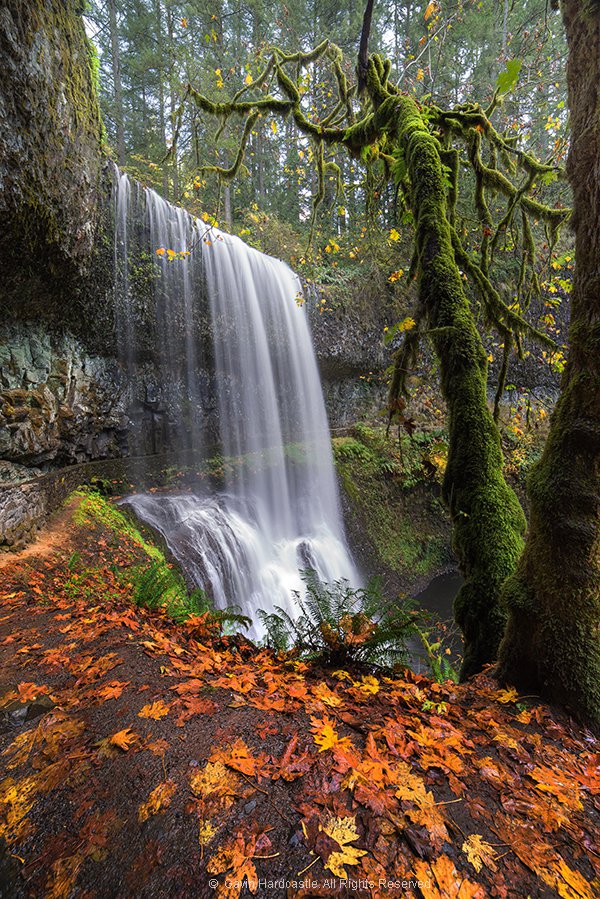 When you don't need to use polarizers in landscapes.