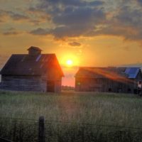 Weekly Photography Challenge – New